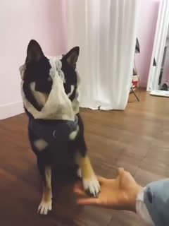 泄密