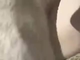 猎奇