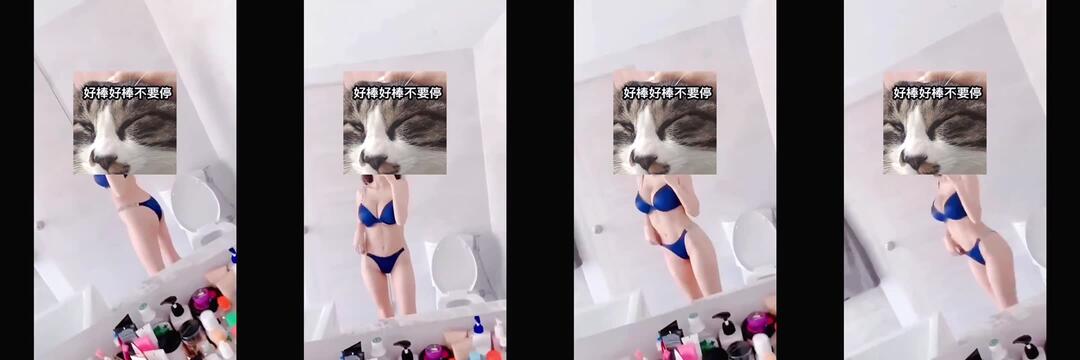 探花