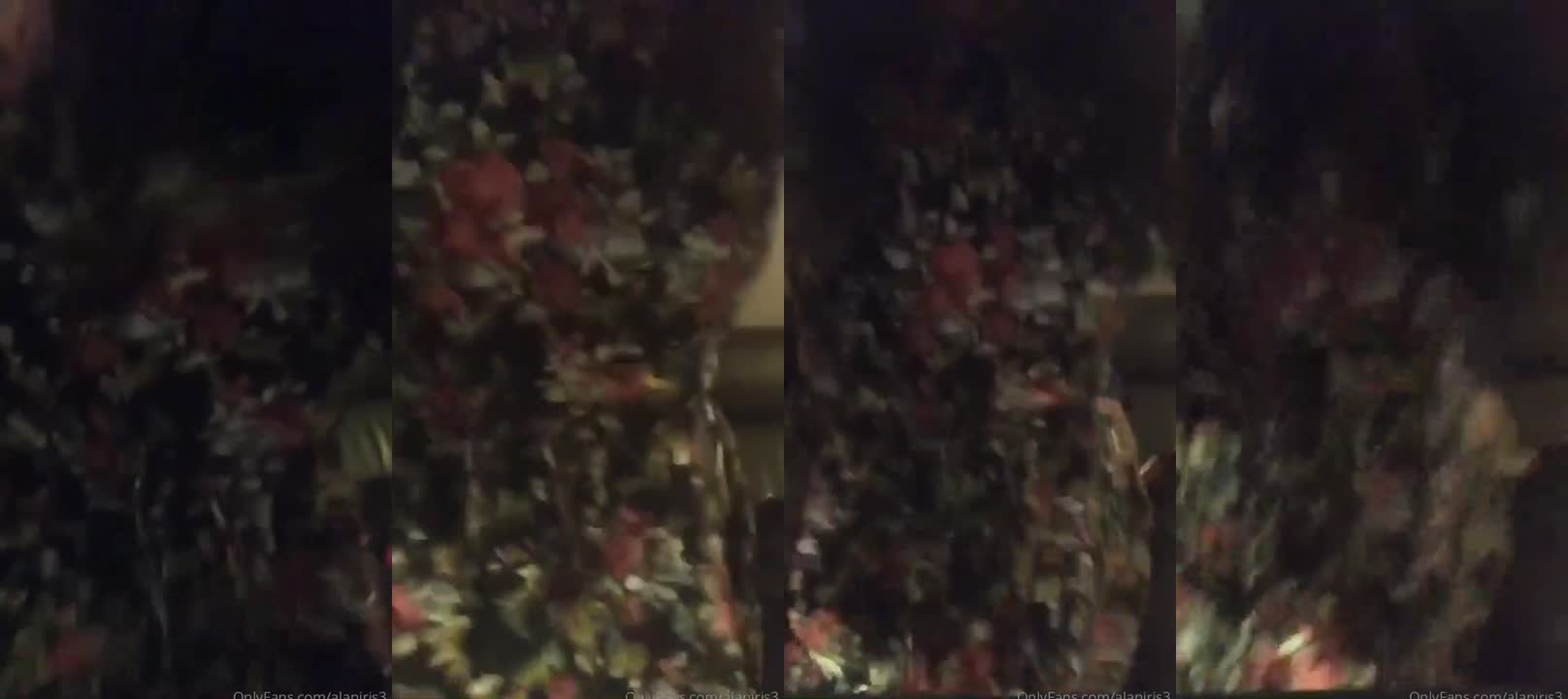 探花