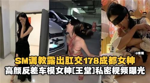 国产精选