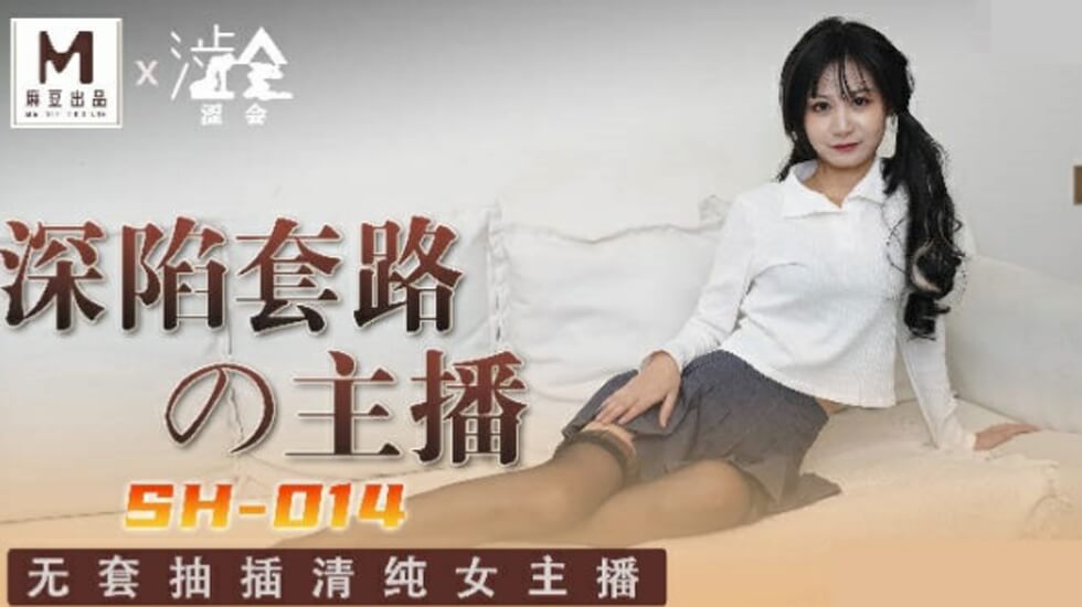 国产传媒