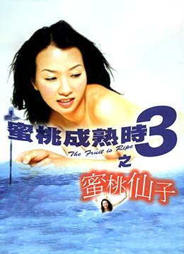 三级伦理